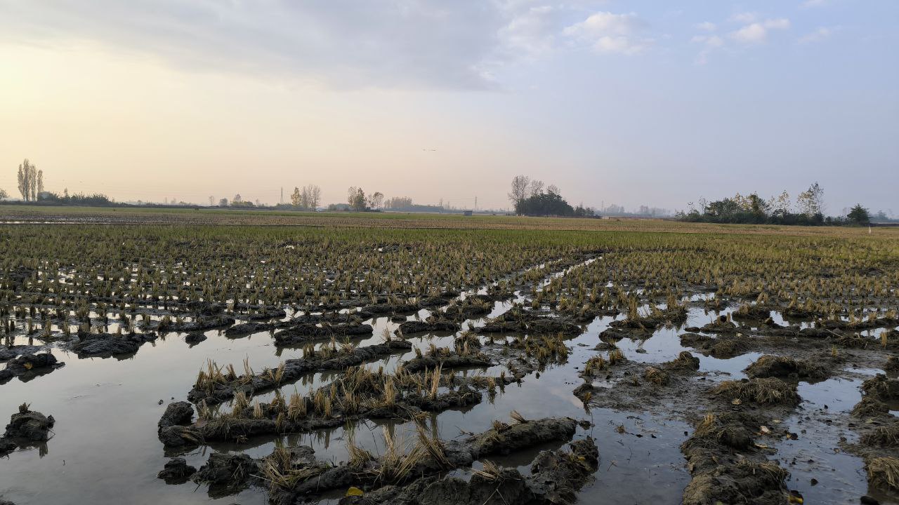 sorkhroud_vozaramahaleh_ranger_station