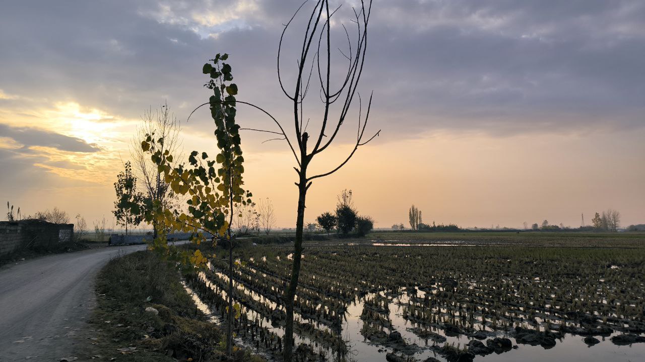 sorkhroud_vozaramahaleh_ranger_station