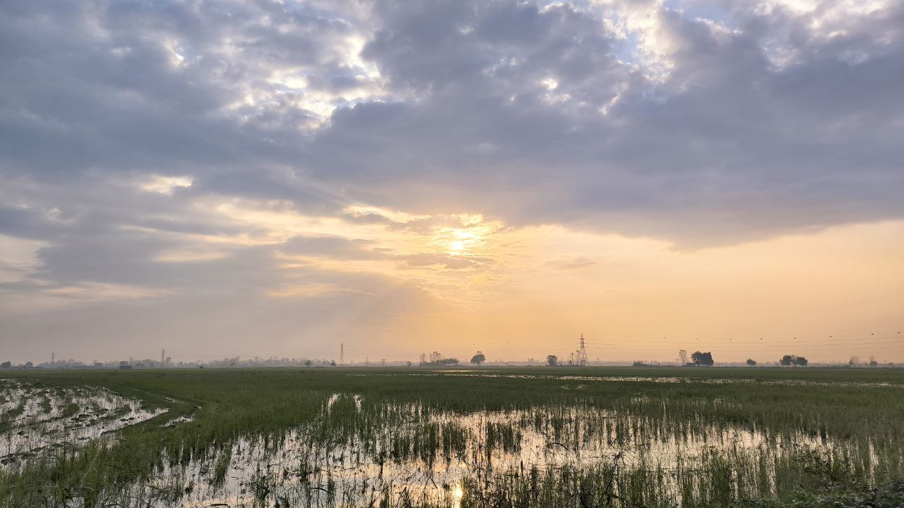 sorkhroud_vozaramahaleh_ranger_station