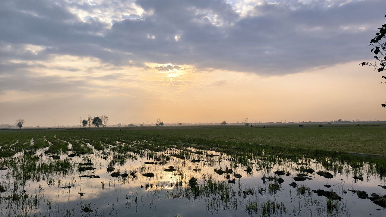 sorkhroud_vozaramahaleh_ranger_station