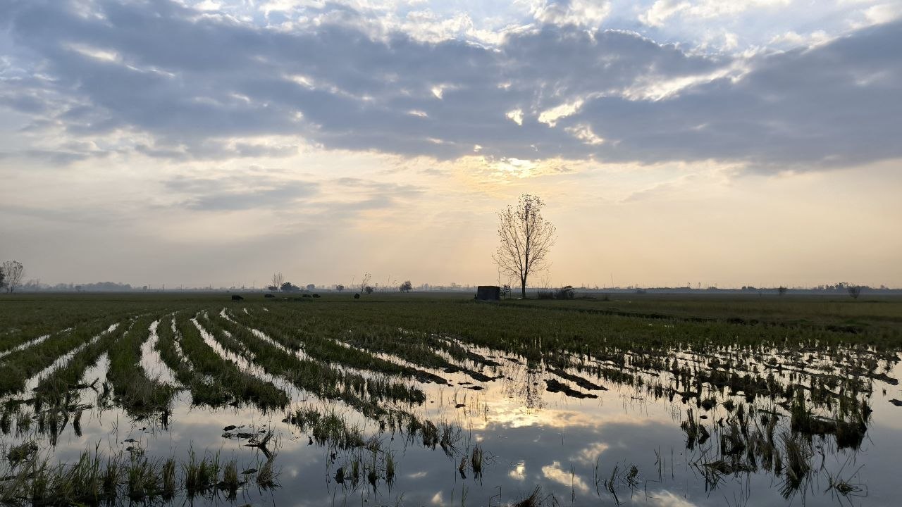 منطقه حفاظت شده پرندگان سرخ‌رود