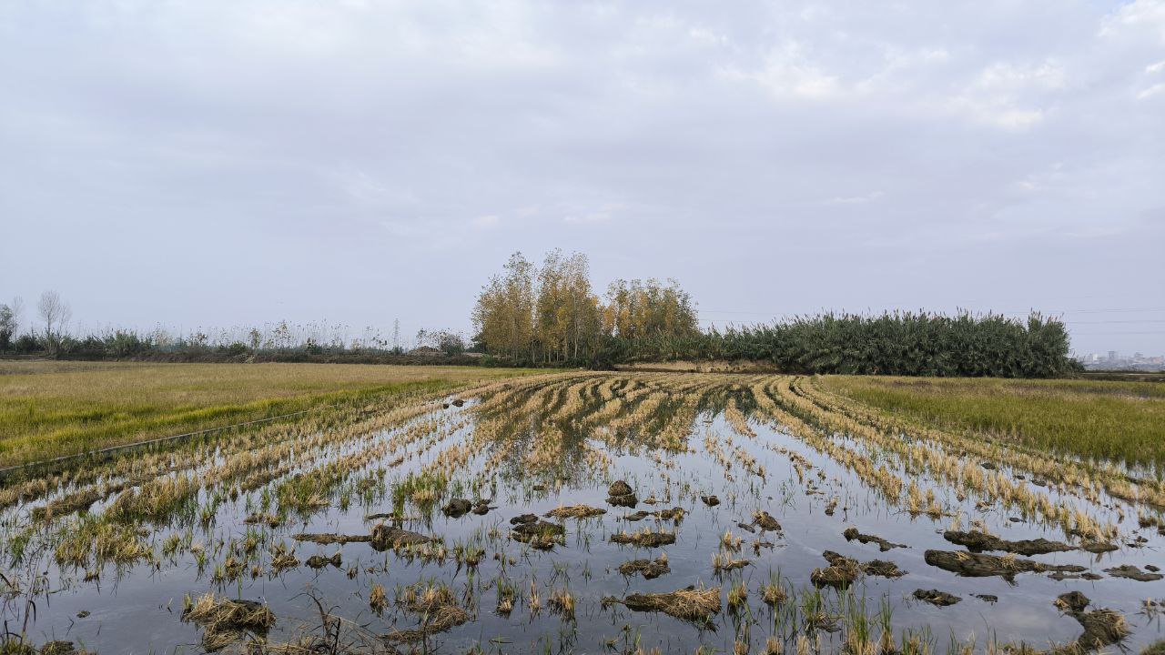 sorkhroud_vozaramahaleh_ranger_station