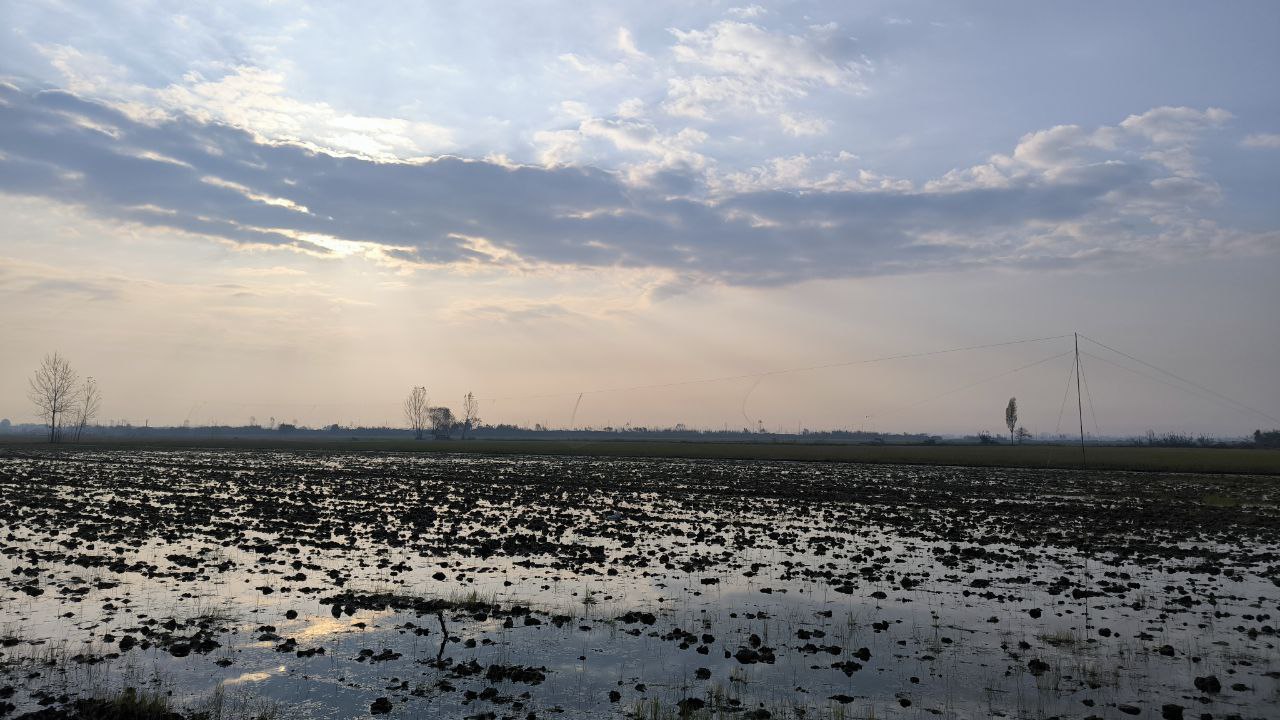 sorkhroud_vozaramahaleh_ranger_station