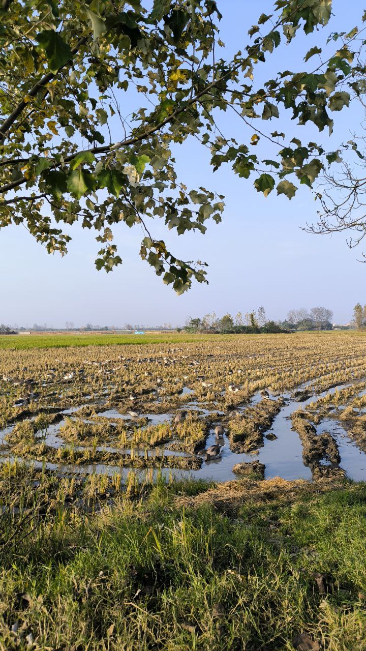 sorkhroud_vozaramahaleh_ranger_station