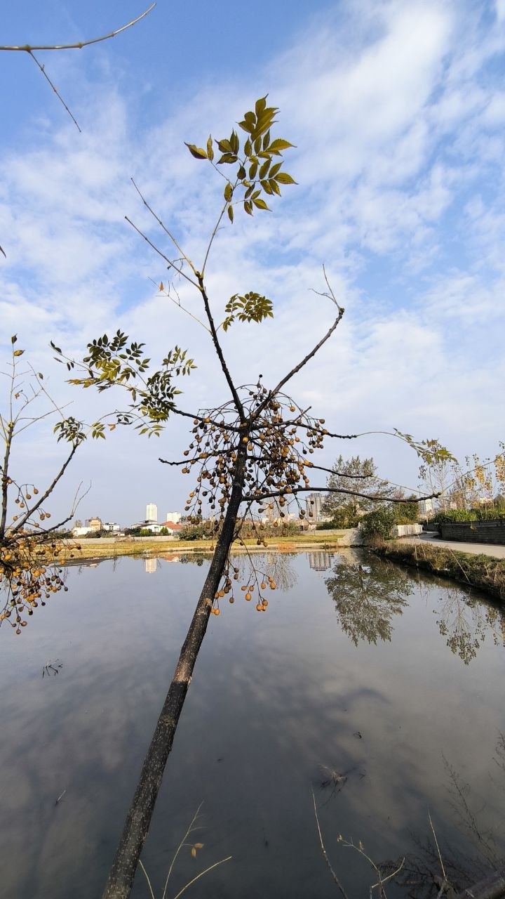 sorkhroud_vozaramahaleh_ranger_station