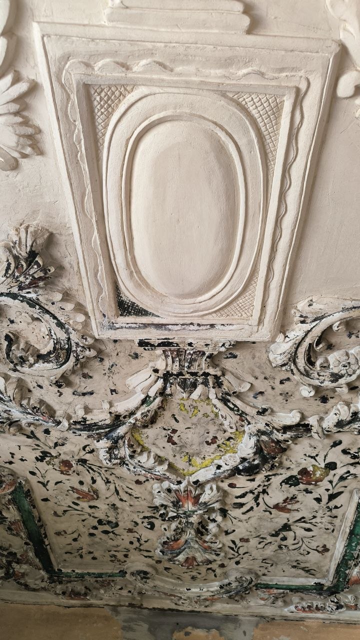 soleymaniyeh_palace
