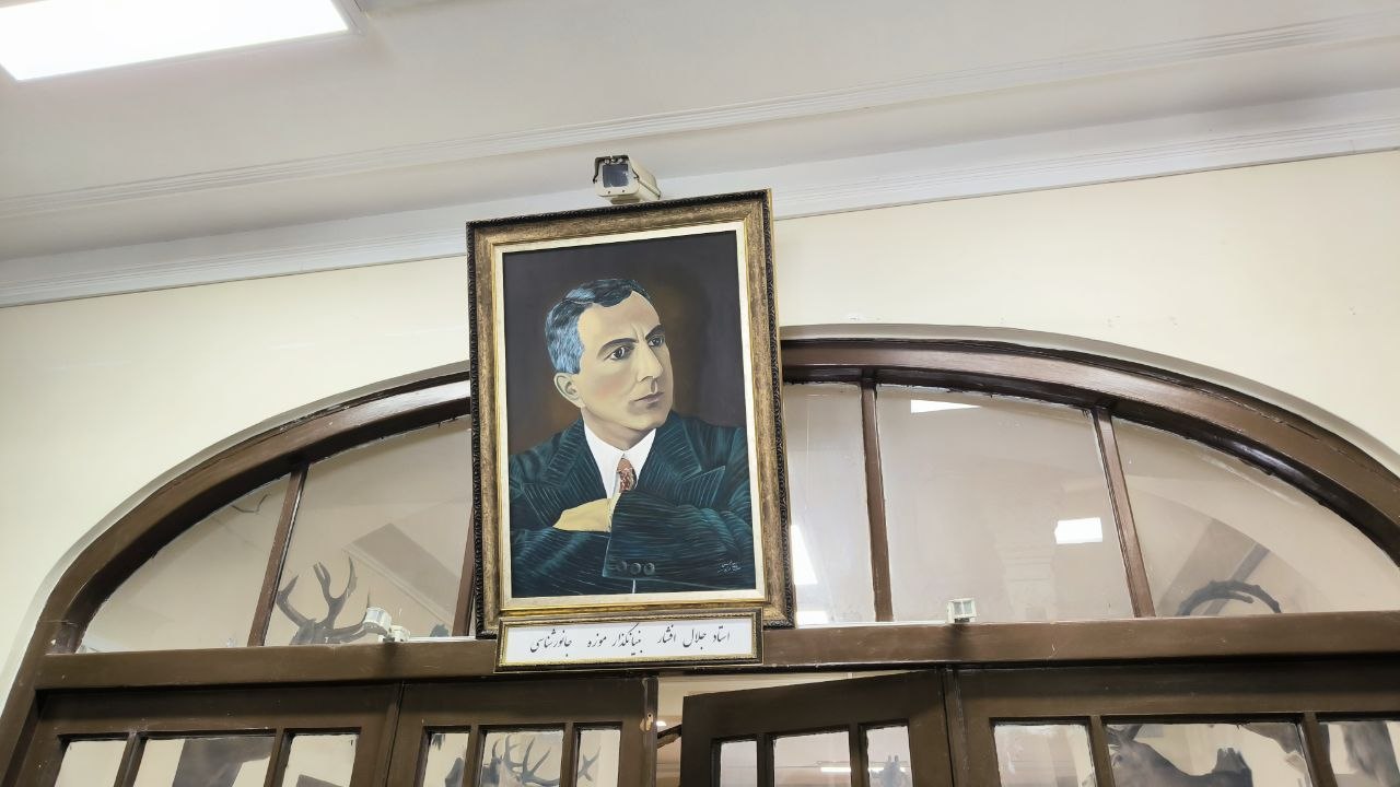 museum_of_zoology