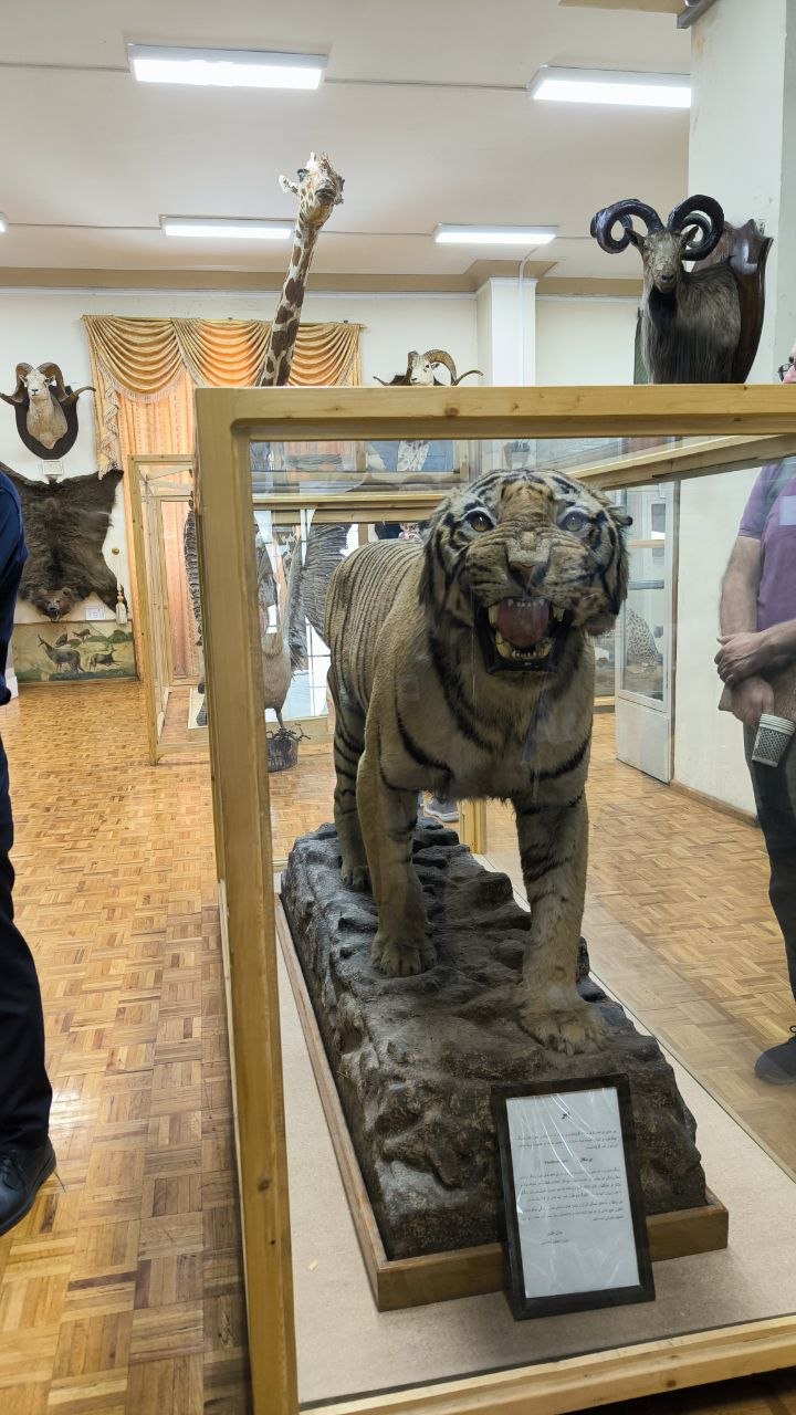 museum_of_zoology