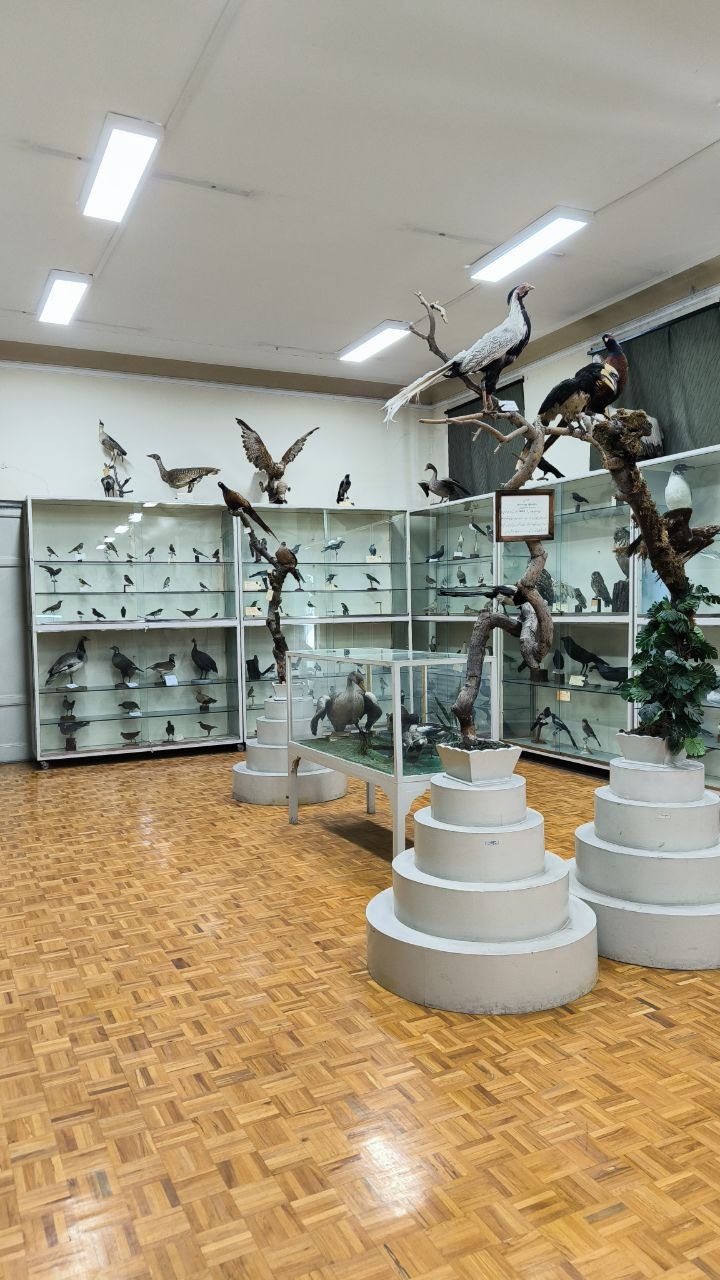museum_of_zoology