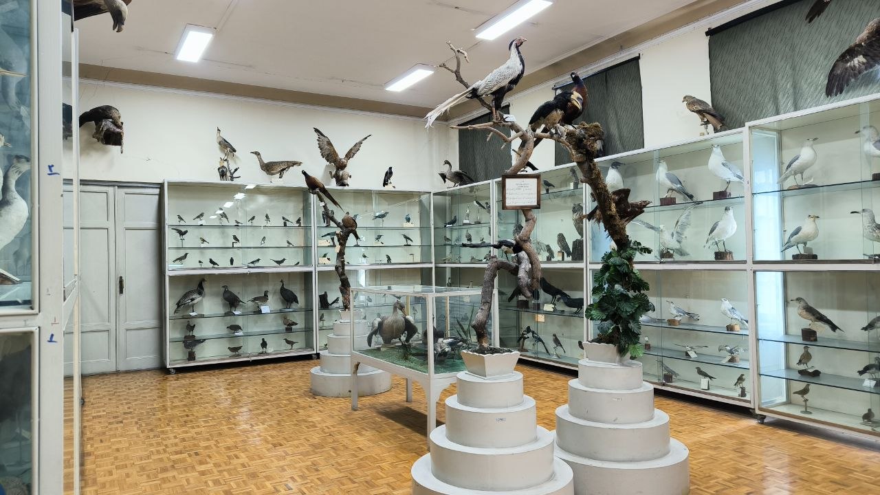 museum_of_zoology