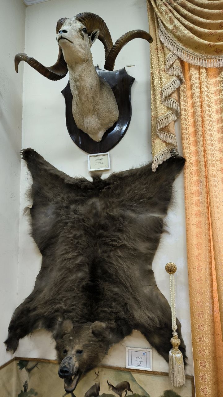 museum_of_zoology