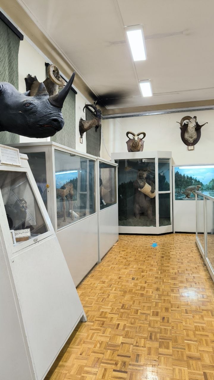 museum_of_zoology