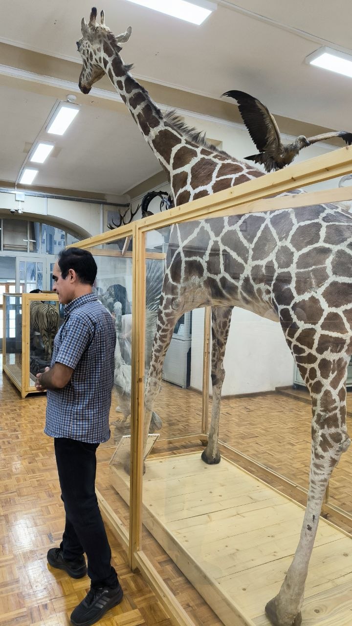 museum_of_zoology