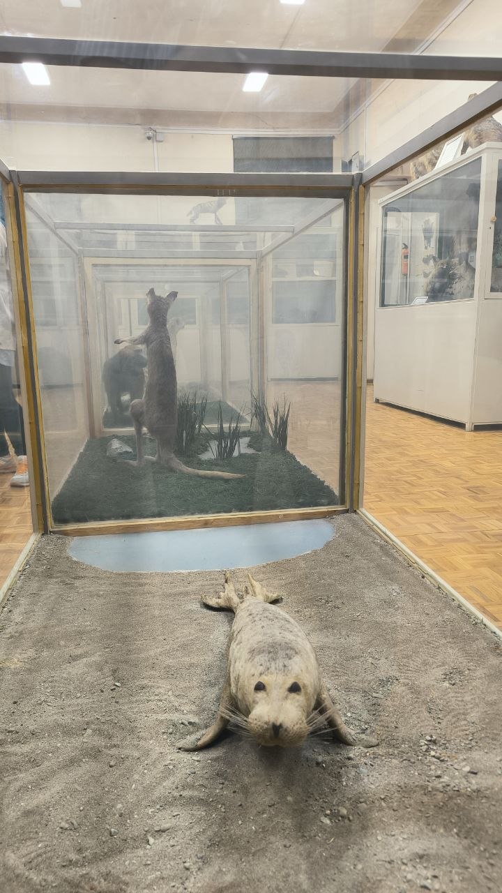 museum_of_zoology