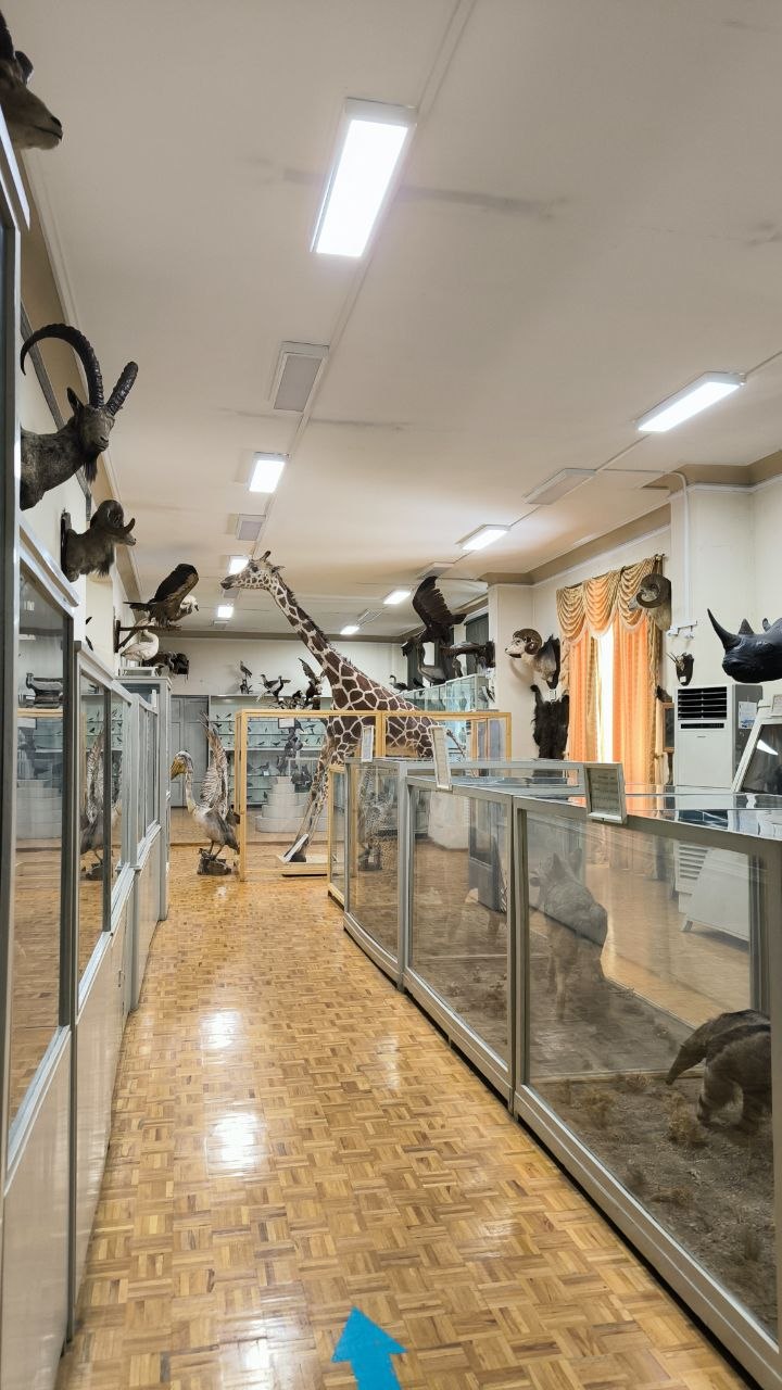 museum_of_zoology