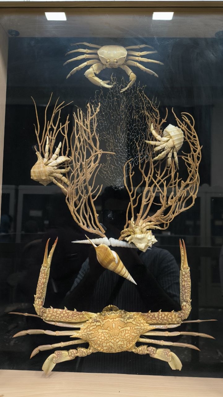 museum_of_zoology