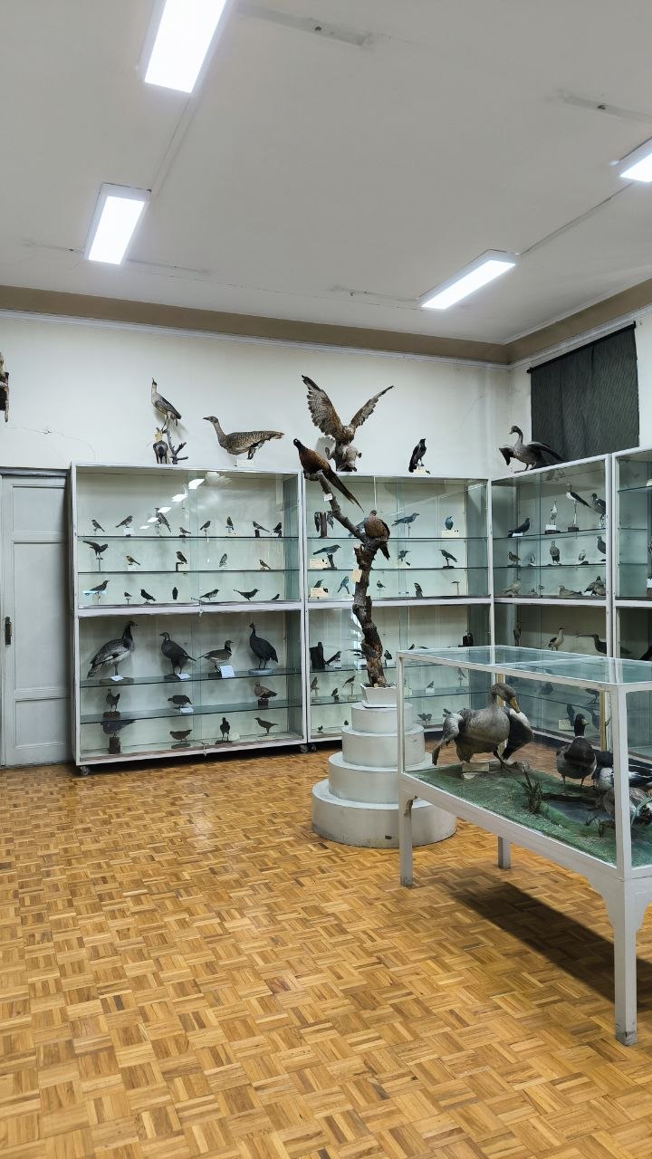 museum_of_zoology