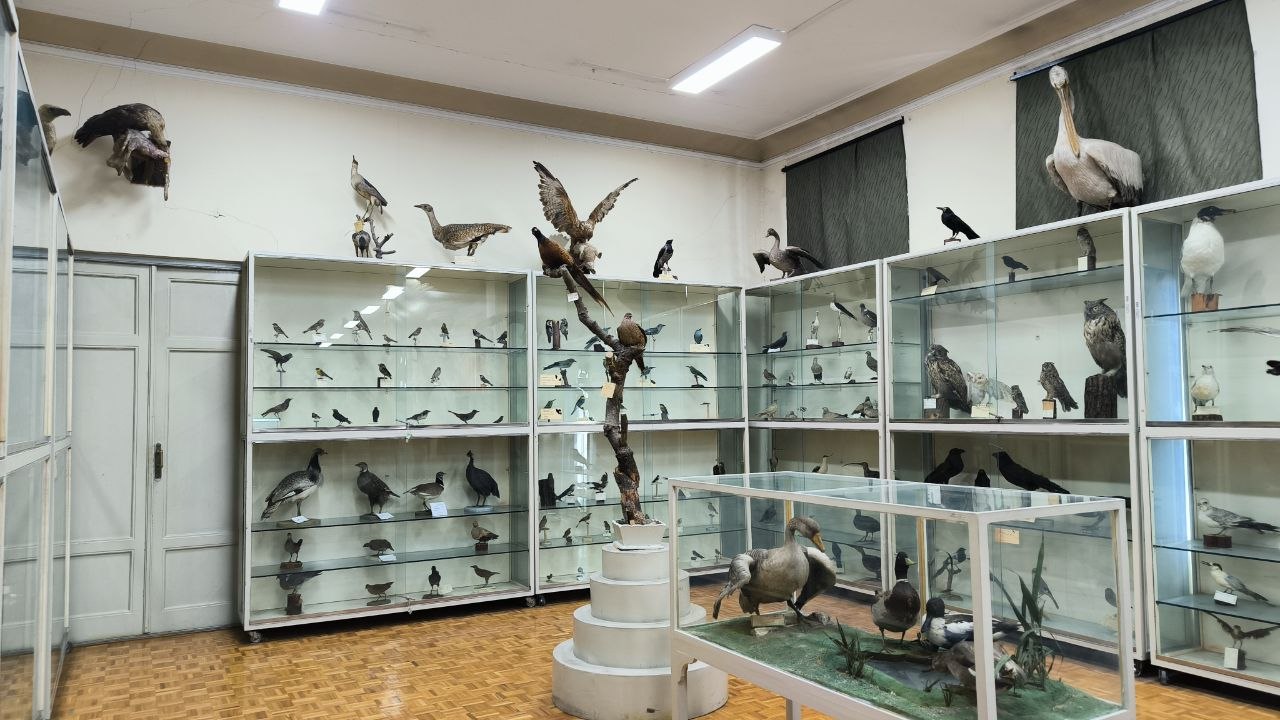museum_of_zoology