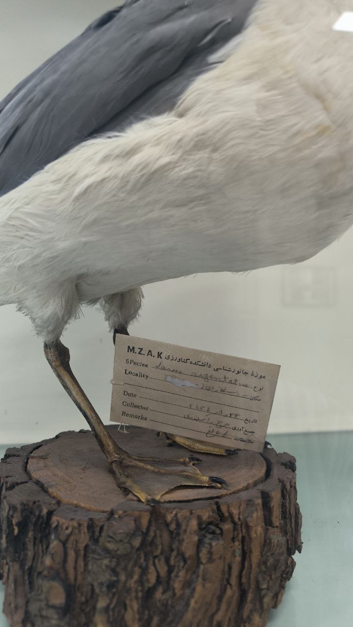 museum_of_zoology