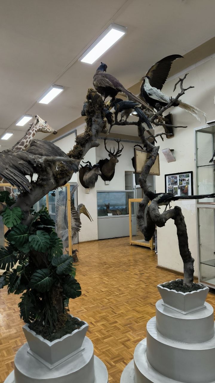 museum_of_zoology