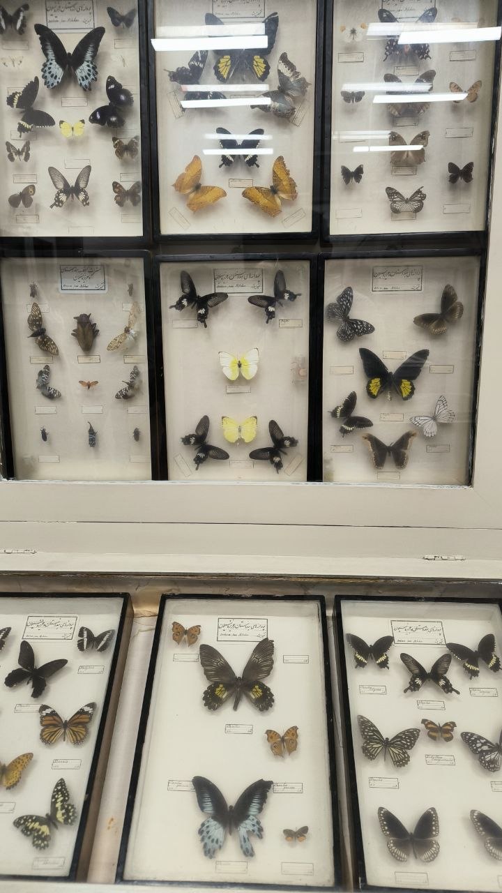 museum_of_zoology