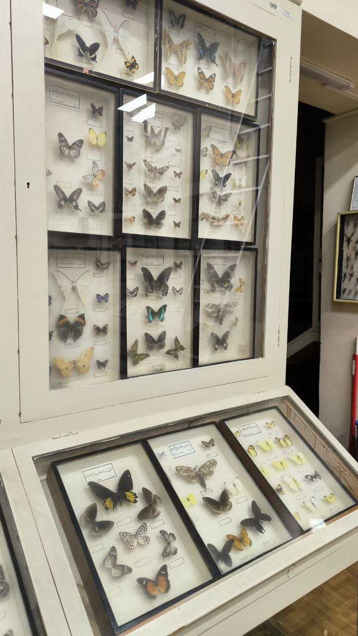 museum_of_zoology