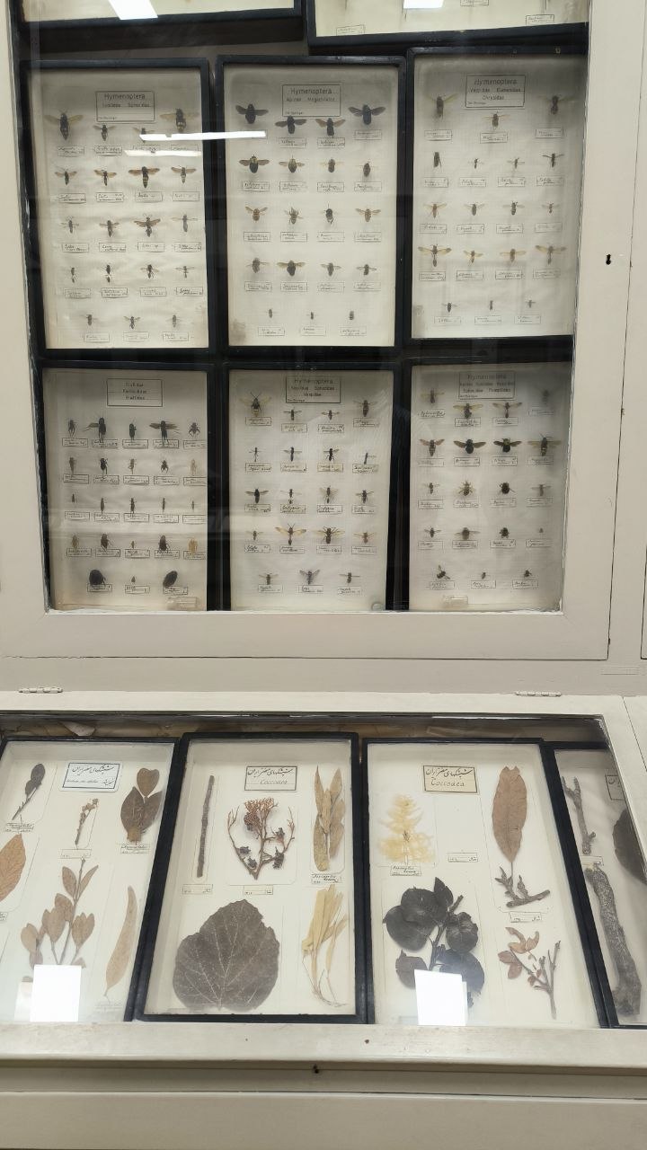 museum_of_zoology
