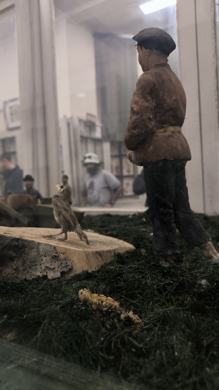 museum_of_zoology