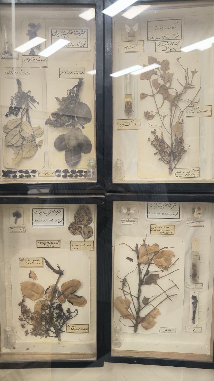 museum_of_zoology