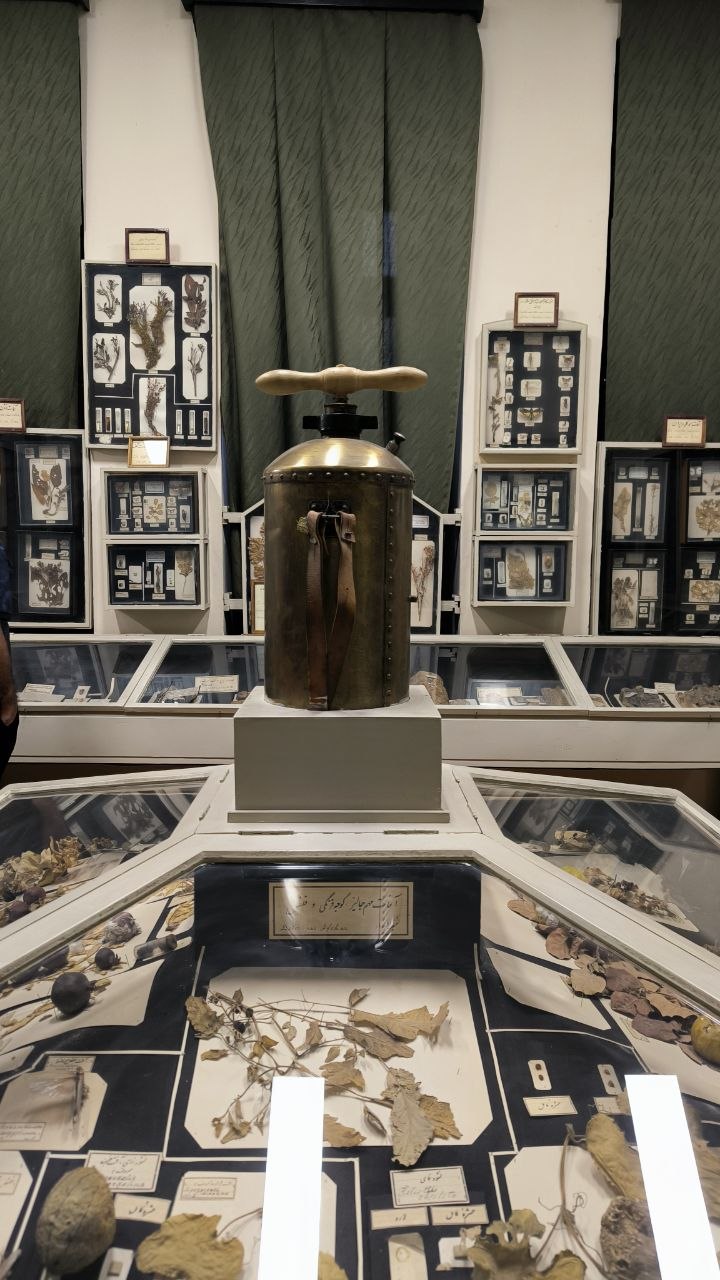 museum_of_zoology