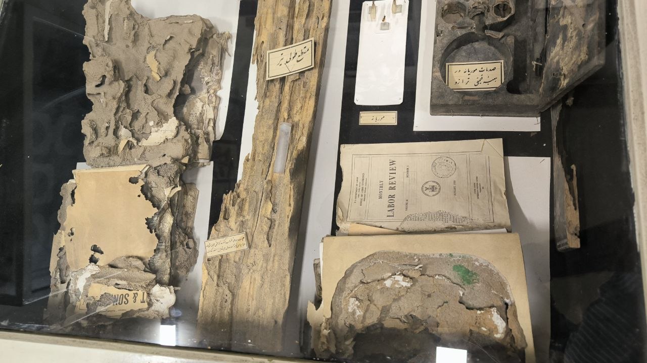 museum_of_zoology