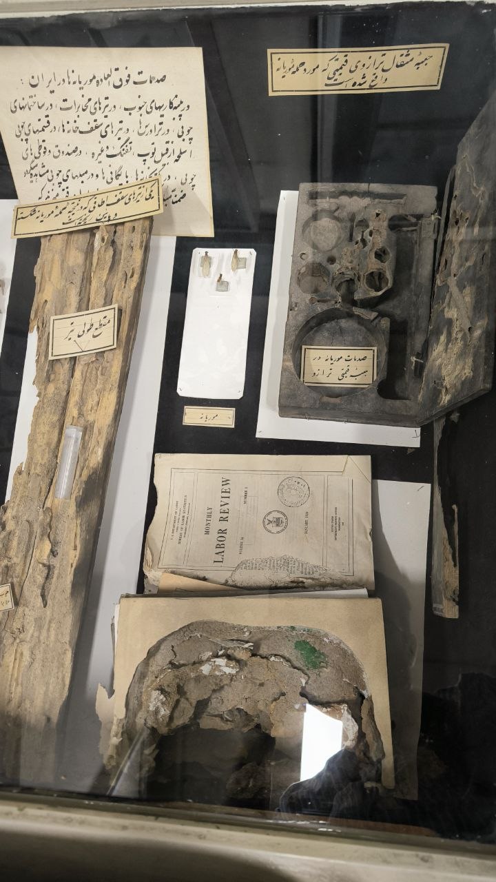 museum_of_zoology