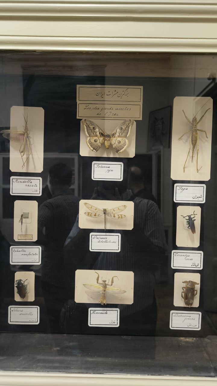 museum_of_zoology