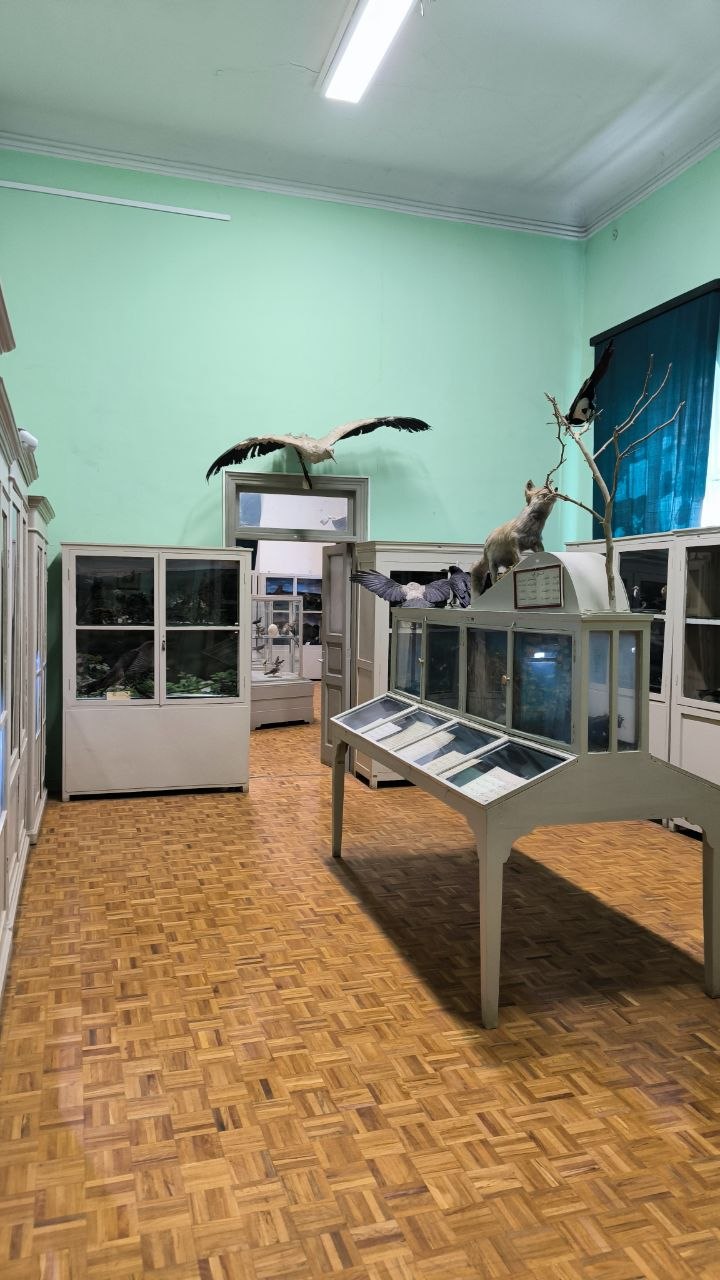 museum_of_zoology