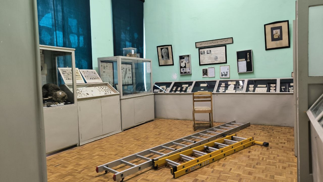 museum_of_zoology