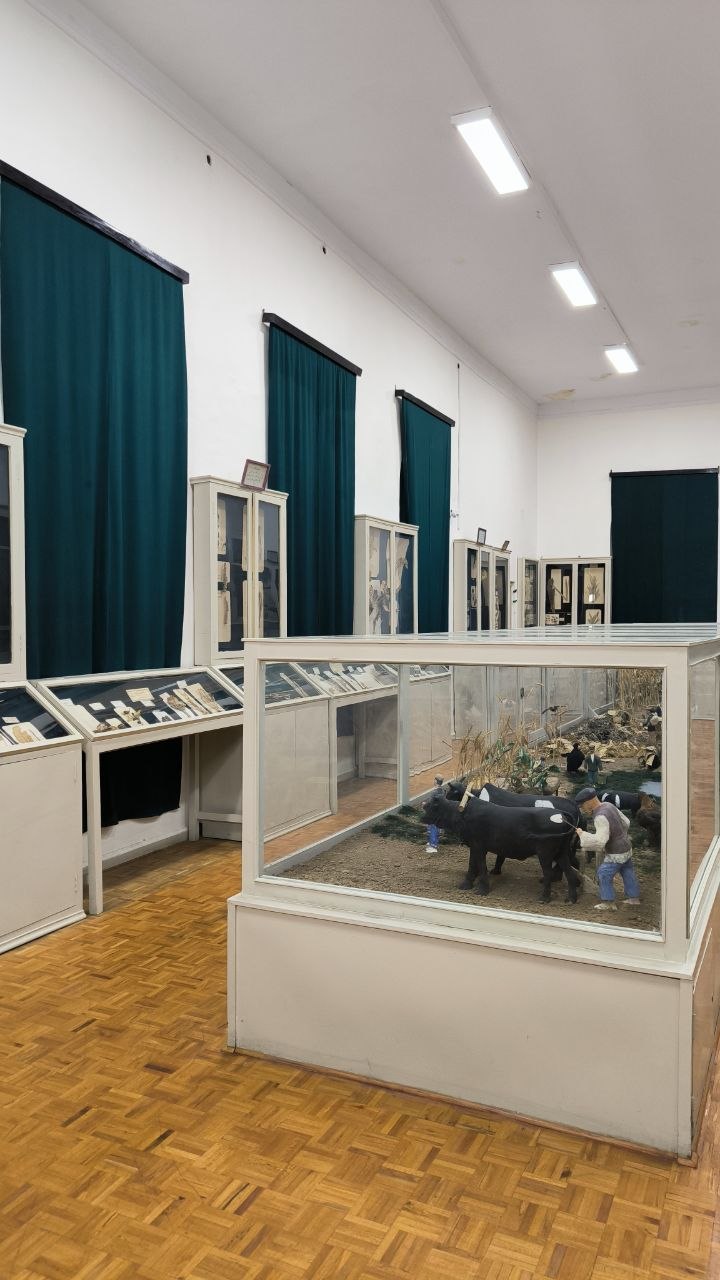 museum_of_zoology