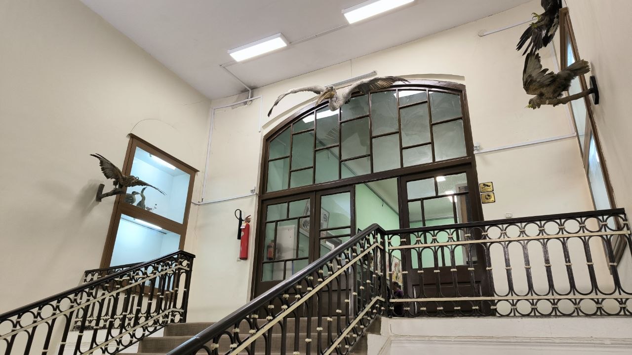 museum_of_zoology